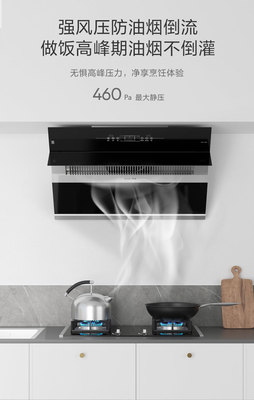 SAKURA櫻花吸油煙機SCR-J301A 品質與價格的全面解析